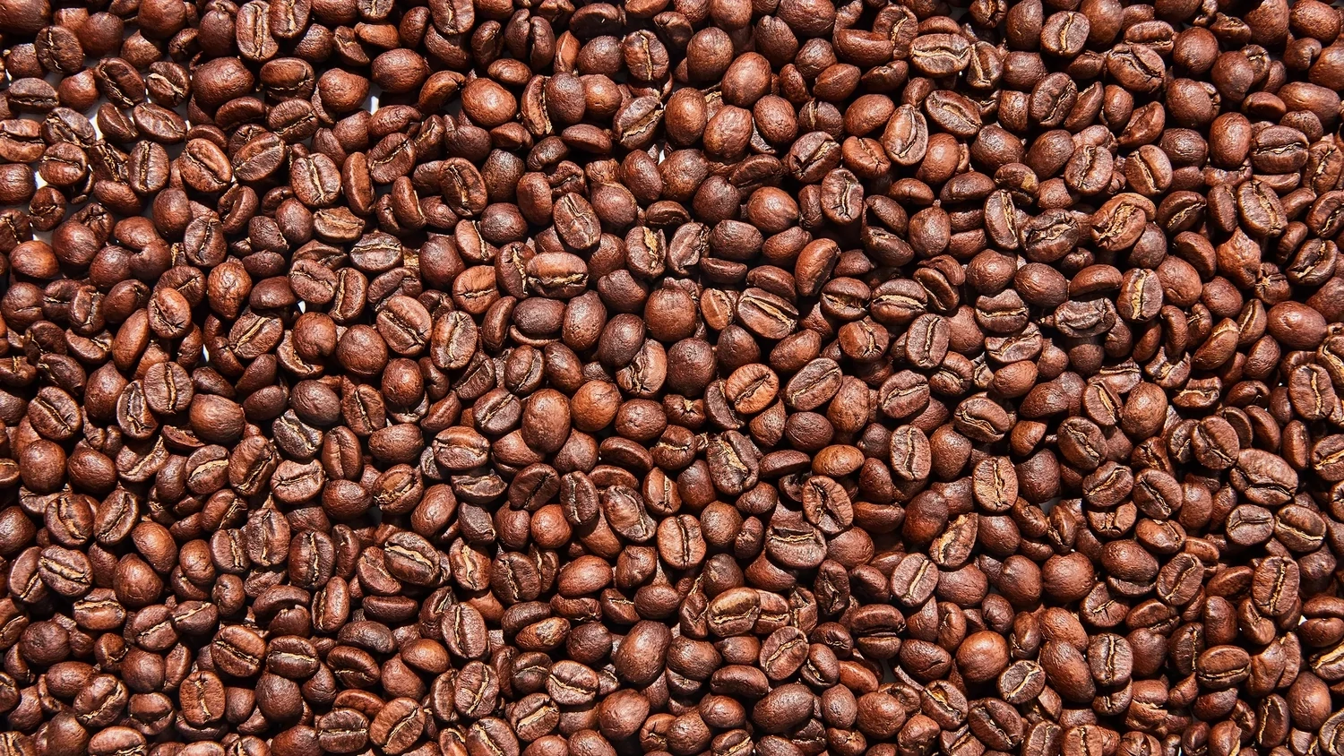 Hopstar Clean Roasted Organic Coffee — 1 lb (Whole Bean)