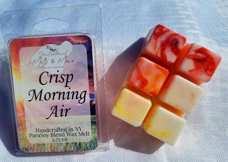 Crisp Morning Air Wax Melt