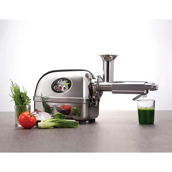 Angel juicers