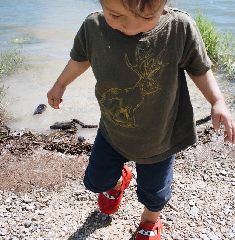  Jackalope Toddler Shirt