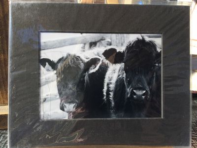 Two Cows 5x7 black mat