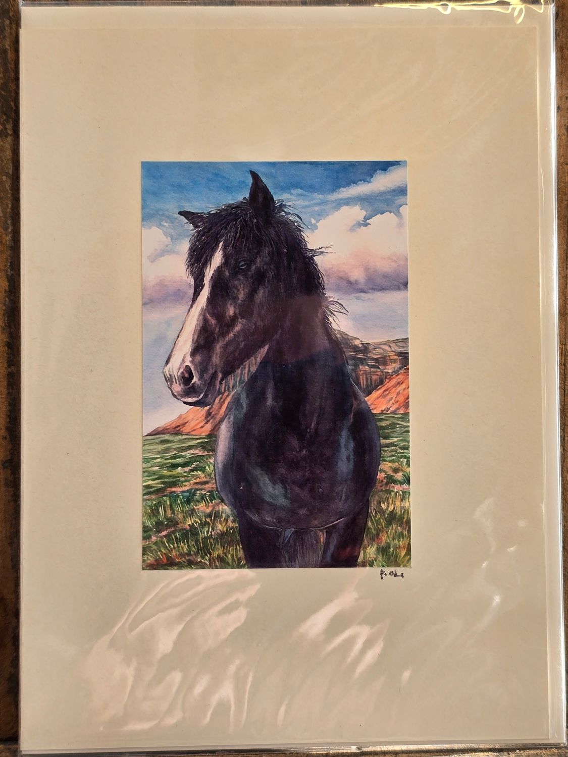 Black Roan Beauty Note Card