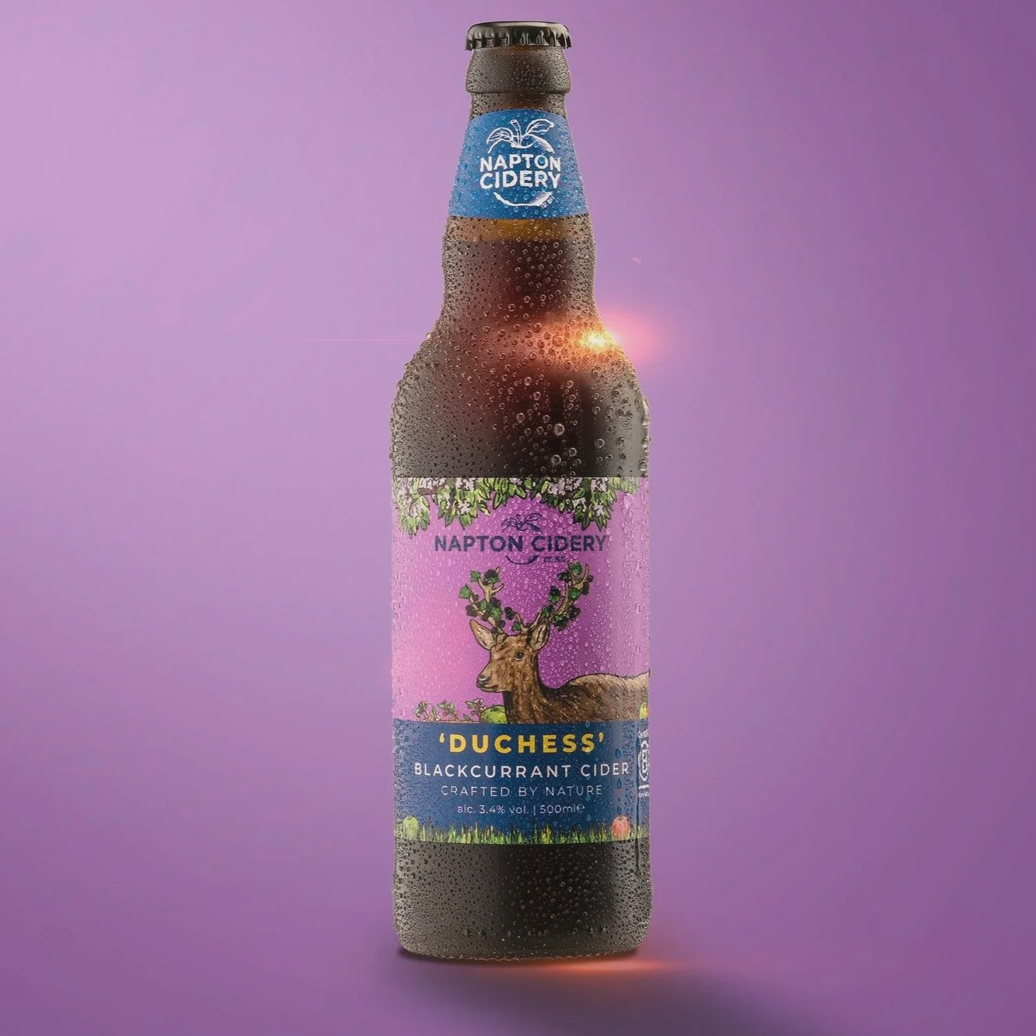 Napton's Cider Duchess 500ml Napton's Cider Duchess 500ml