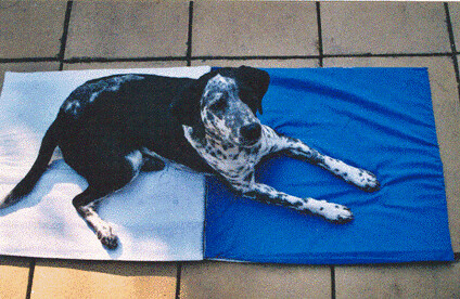 Magnetfeldmatte für Hunde