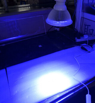 UV-Phototherapie gegen Hautkrankheiten - Blaulicht