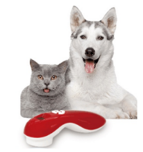 LASER THERAPIE FÜR HUNDE UND KATZEN
