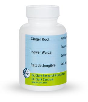 Ingwer-Wurzel, 500 mg 100 Kapseln