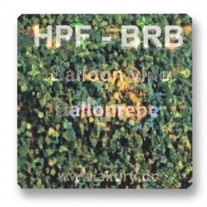 HPF-BRB – Ballonrebe