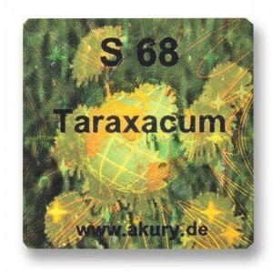 S 68 – Löwenzahn / Taraxacum