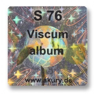 S 76 – Mistel / Viscum album