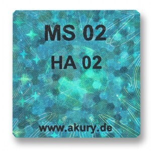 MS 02 – HA 02
