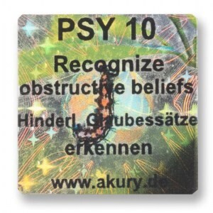 PSY 10 – Hinderliche Glaubenssätze erkennen und harmonisieren