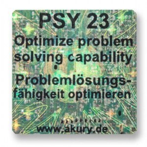 PSY 23 – Problemlösungskompetenz optimieren