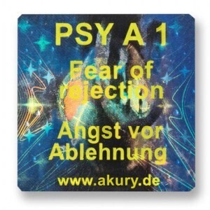 PSY A 1 – Angst vor Ablehnung