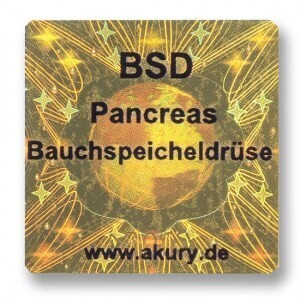 BSD – Bauchspeicheldrüse/Pankreas