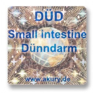 DÜD – Dünndarm
