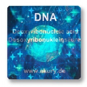 DNA – Desoxyribonukleinsäure