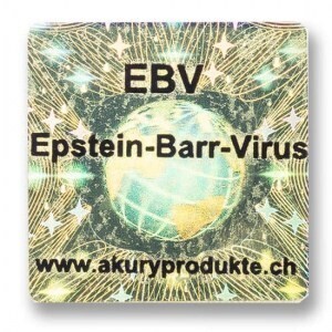 EBV – Epstein-Barr-Virus
