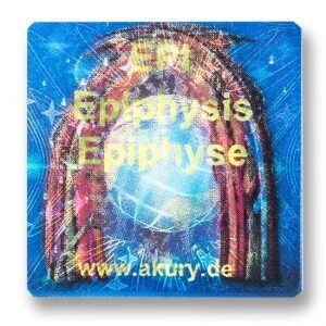 EPI – Epiphyse