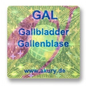 GAL – Gallenblase
