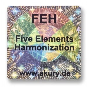 FEH – Five Elements Harmonization