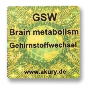 GSW – Gehirnstoffwechsel