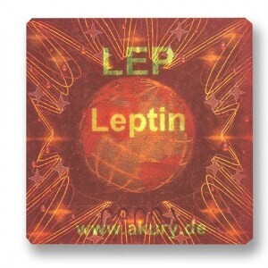 LEP – Leptin