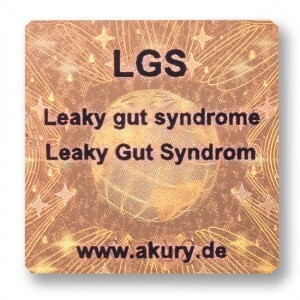 LGS – Leaky Gut Syndrom