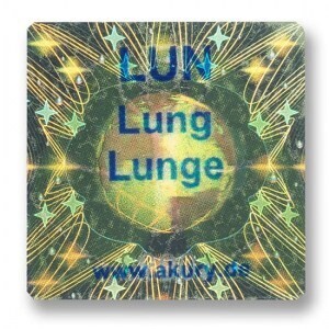 LUN – Lunge