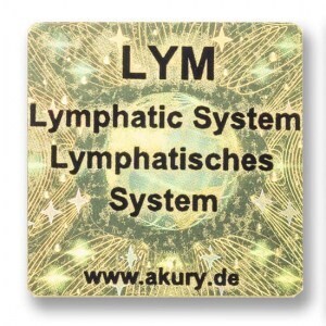 LYM – Lymphatisches System