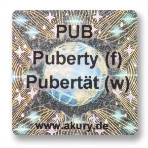 PUB (w) – Pubertät (w)