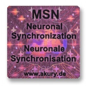 MSN – Neuronale Synchronisation