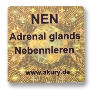NEN – Nebennieren