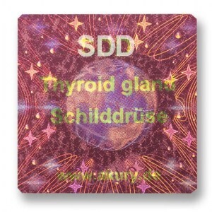 SDD – Schilddrüse