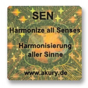SEN – Harmonisierung aller Sinne
