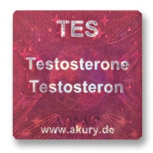 TES – Testosteron