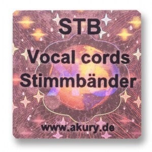 STB – Stimmbänder