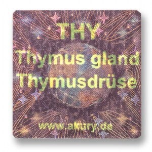 THY – Thymusdrüse