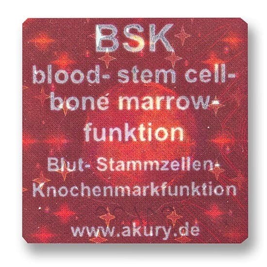 BSK – Blutzellen-, Stammzellen- und Knochenmarkfunktion
