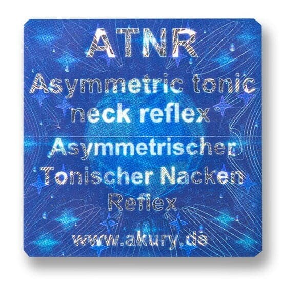 ATNR – Asymmetrischer Tonischer Nacken Reflex