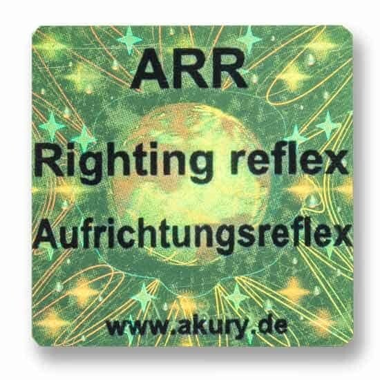 ARR – Aufrichtungsreflex