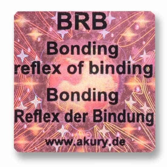BRB – Reflex der Bindung