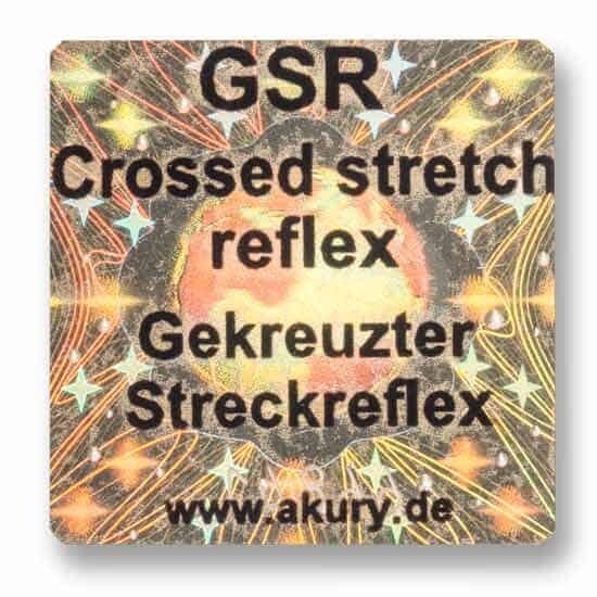 GSR – Gekreuzter Streckreflex
