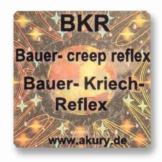 BKR – Bauer-Kriechreflex (Krabbelreflex)