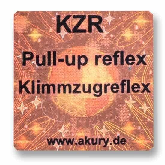 KZR – Klimmzugreflex