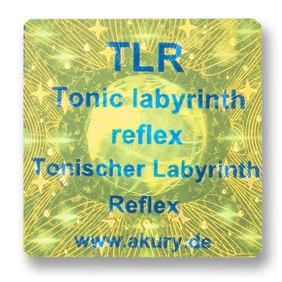 TLR – Tonischer Labyrinth Reflex