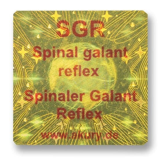 SGR – Spinaler Galant Reflex