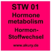 STW01 – Hormonstoffwechsel