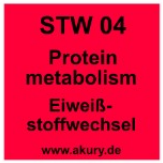 STW04 – Eiweißstoffwechsel