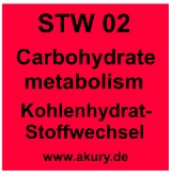 STW02 – Kohlenhydratstoffwechsel